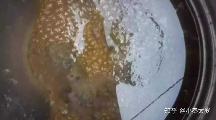 水太岁