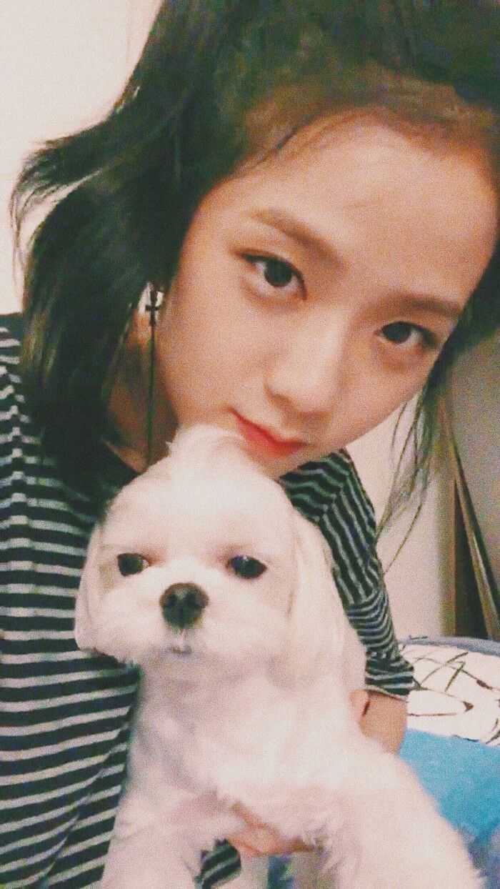 black pink可爱,blackpink可爱 能分享一些可可爱爱的blackpink全员的头像吗?