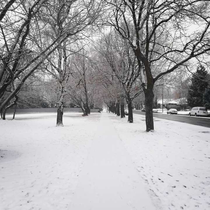 你的城市下雪了吗,可以用视频分享雪天可以做的有趣事情或者雪景吗?