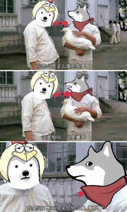 quin及其粉丝?