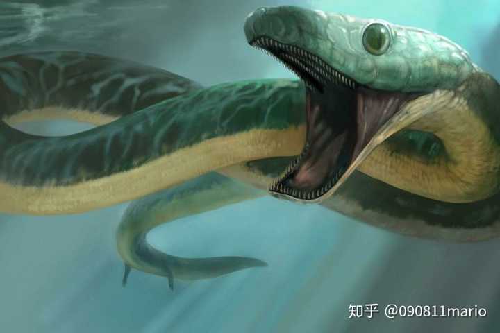哪种恐龙变成了蛇?或者蛇也有远古原始蛇?