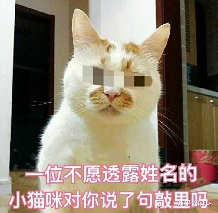 你生平用过最沙雕的表情包是什么