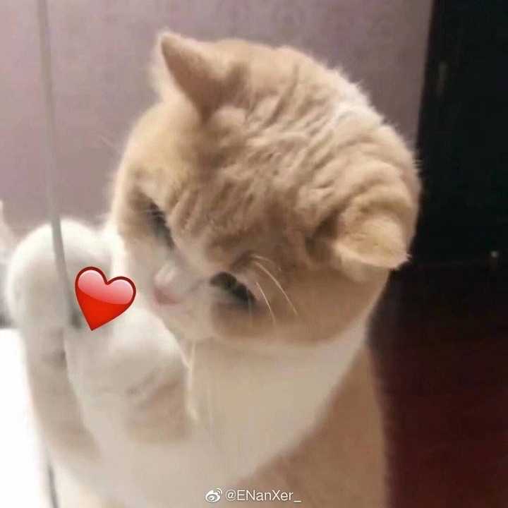 有没有撩人的表情包?