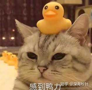 为什么我的表情包会说话?