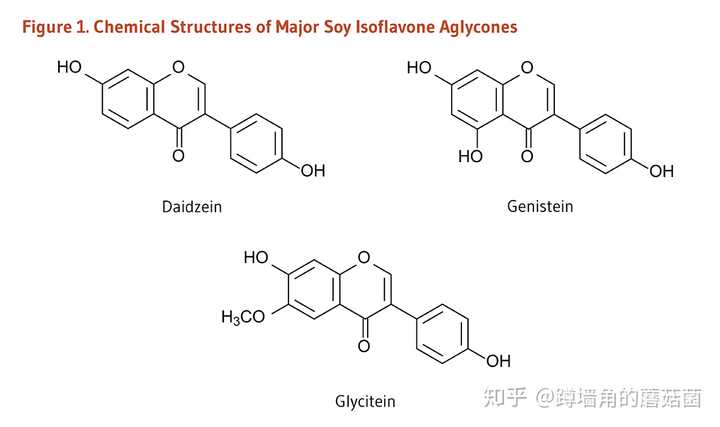 多囊卵巢综合症可以吃大豆异黄酮吗?