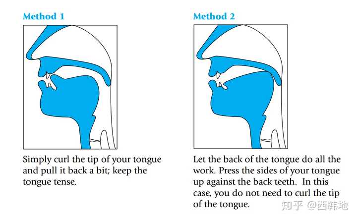 甚至很多误人子弟的老师居然会教学生:舌头卷起来,舌尖顶硬颚摩擦发声