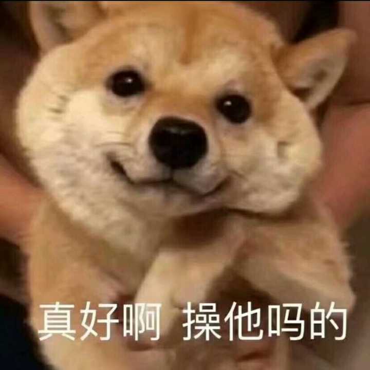 想知道女生收到的最沙雕最印象深刻的打招呼语是什么?