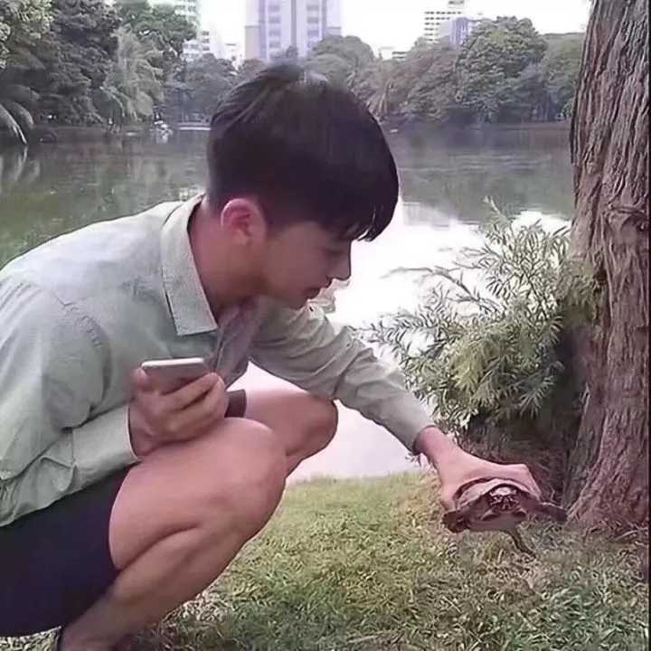 有那种憨憨的情侣头像吗?