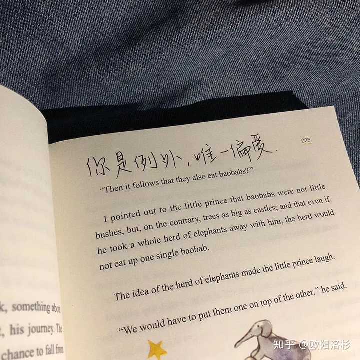 你是例外,唯一偏爱