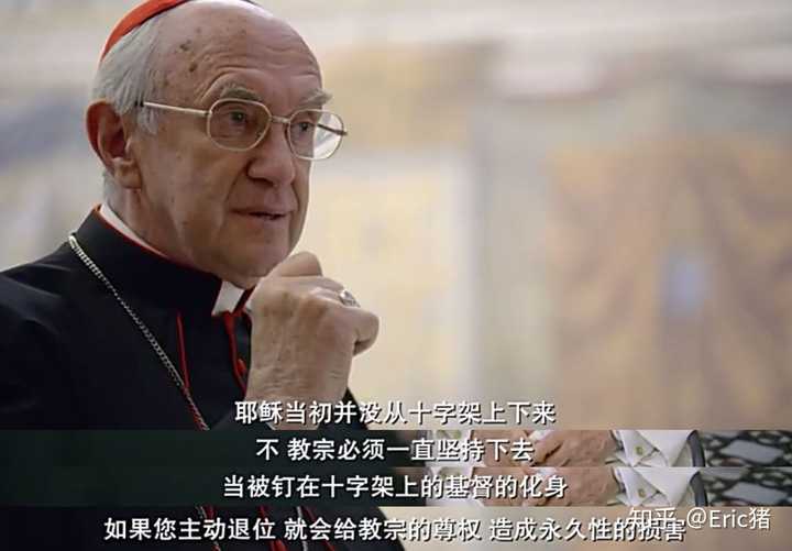 如何评价《教宗的承继》?
