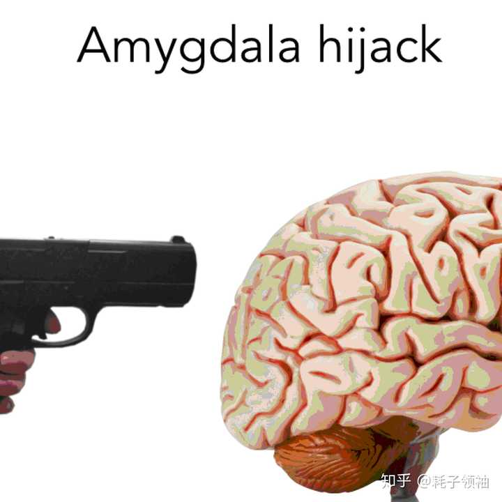 这就是部分认知学家提出的 "杏仁核劫持(amygdala hijack)"理论.