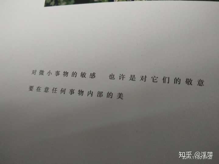 有哪些可以摘抄下来的神仙句子?