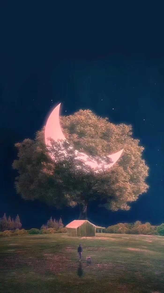 好像也没有很类似