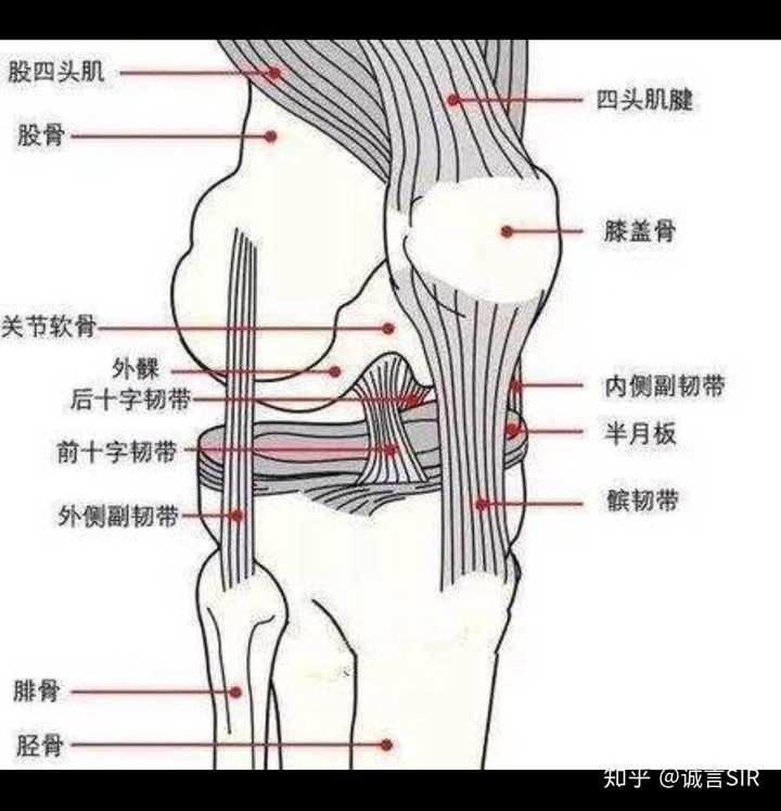 阿不都沙拉木左膝关节前交叉韧带断裂,会对他和球队产生什么影响?