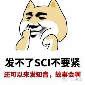 关于写论文有哪些表情包