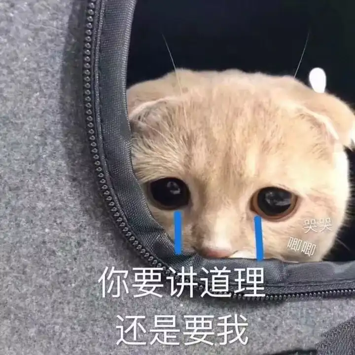 有哪些可以哄男朋友开心的表情包?