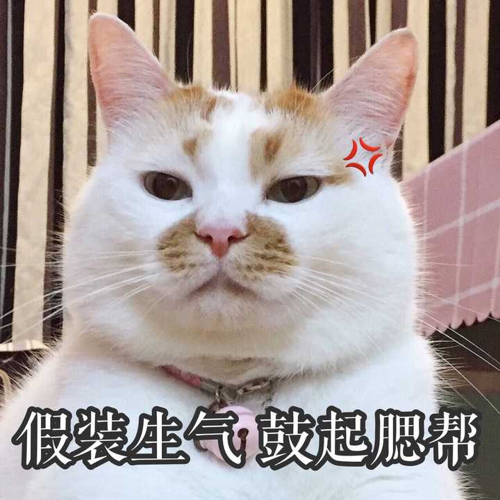 就跟上面的表情包一样吧,单身好,想跟谁好跟谁好哼.