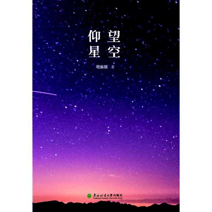 仰望星空(书籍)