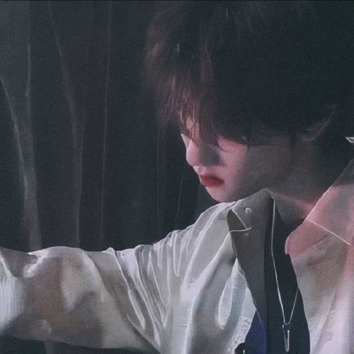 有没有一看就知道是seventeen,但不是正脸的头像?