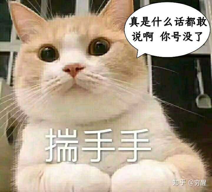 有没有猫咪的表情包?