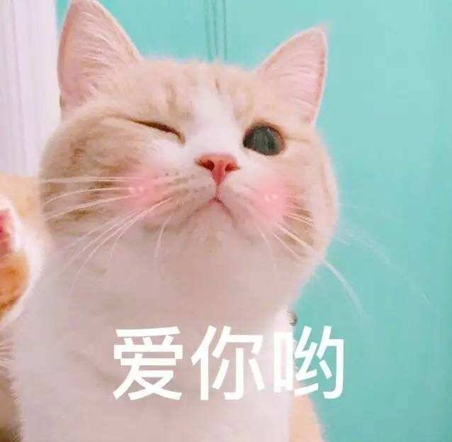 有哪些哄女朋友开心的表情包小故事