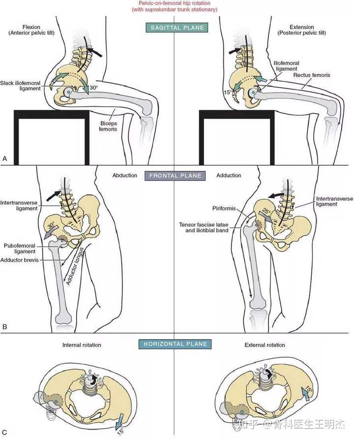(7) 骨盆分离,挤压试验阳性, 骶髂关节"4"字试验阳性, 下肢后伸试验