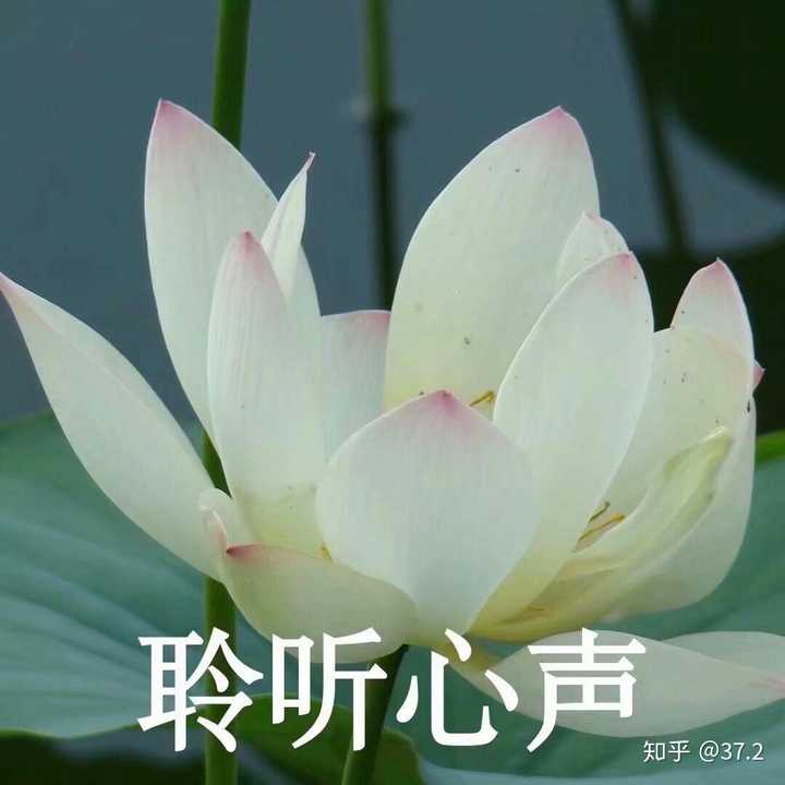 各位,请把你们认为最好看的微信头像,情侣头像,微信背景图晒出来看