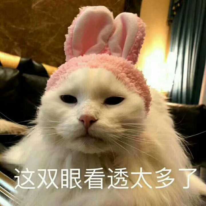 一脸迷茫之际恰逢我爹进来喊我吃饭: 左边树下!脸上!脸上!那边背坡!