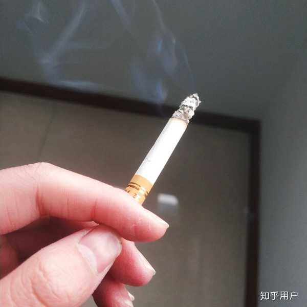 今天下午试着抽了一根老爹的玉溪 太呛了实在受不了,抽半根就扔了