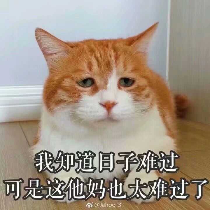 预告一下英语课下课我会再更新一只喵嘿嘿嘿,上课去啦 我来三更啦