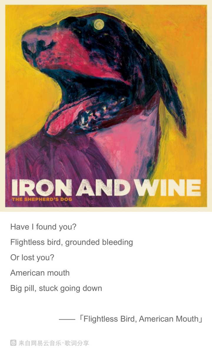 flightless bird钢琴谱,flightlessbird flightless bird, american mouth-iron & wine