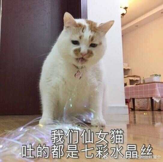打call尬聊买橘子 2017哪些流行语占领了你的表情包?