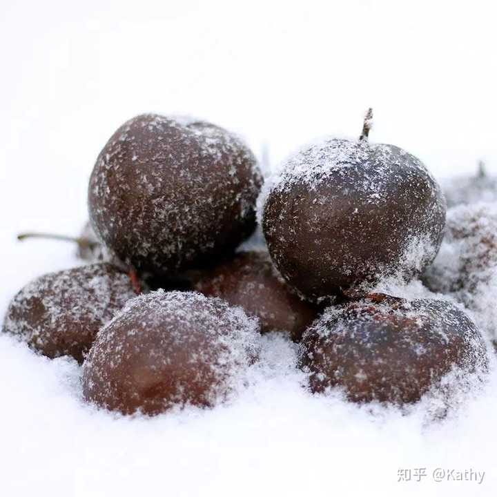 东北冬天的冻秋梨(图片源自百度)
