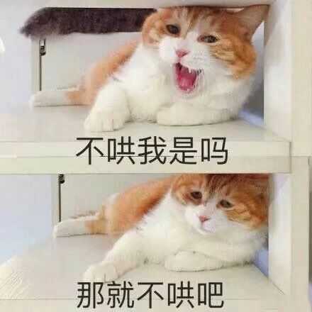 有哪些可以哄男朋友的段子或表情包?