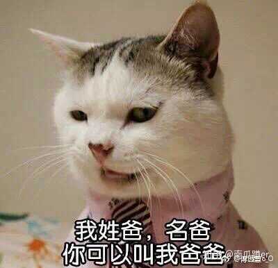 有最近流行的表情包吗?
