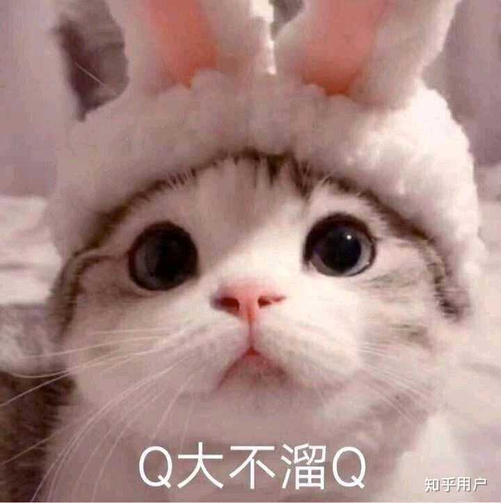 有没有那种蠢萌蠢萌的表情包?