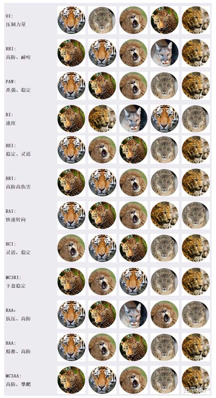 猫科动物中战斗力最强的是谁?