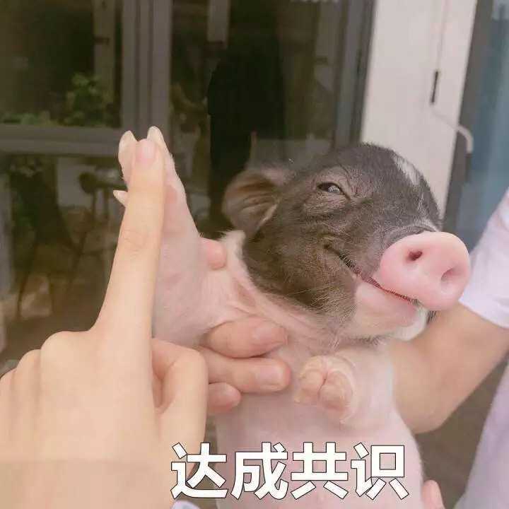 有哪些哄男朋友的可爱表情包?