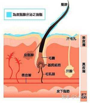 用什么洗面奶比较好?