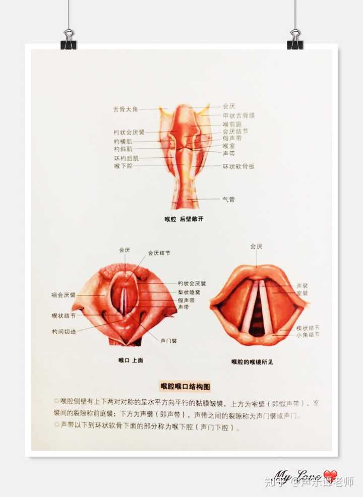 唱高音时声带摩擦怎么办?