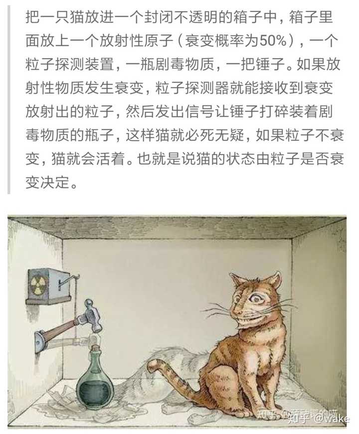 薛定谔的猫到底是什么意思