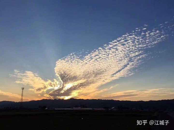 高三" 原本沉闷,但跑起来就有风".