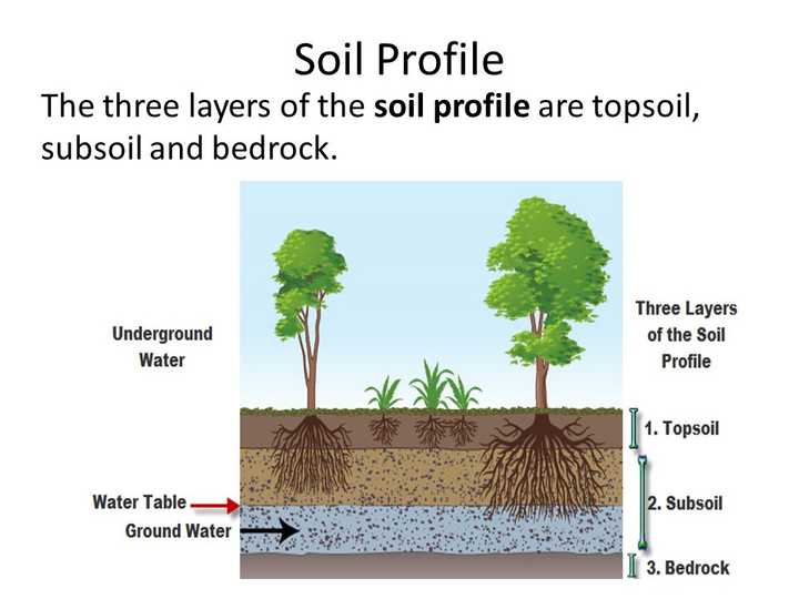 看到一张图标了water table 在subsoil这一层 也就是b horizon