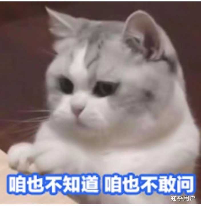 表情包里的猫咪确实可爱