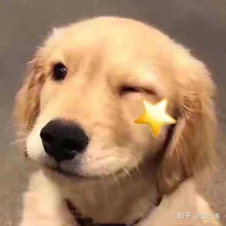 跪求,早上起来犯困怎么办(皿")?