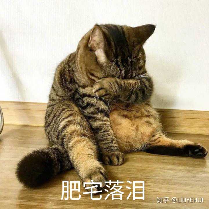 自此以后聊天次数直线下降,再然后…他脱单了…(捂住嘴巴不让自己哭