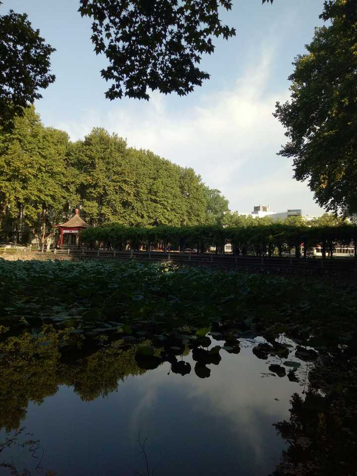 你对南京邮电大学三牌楼校区是什么印象?