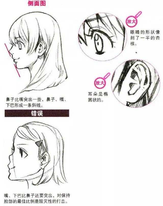 怎么画人脸及五官呢?