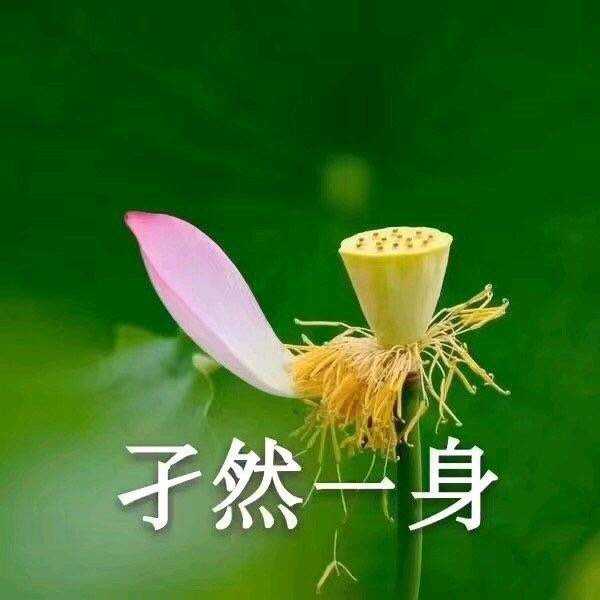 孑然一身