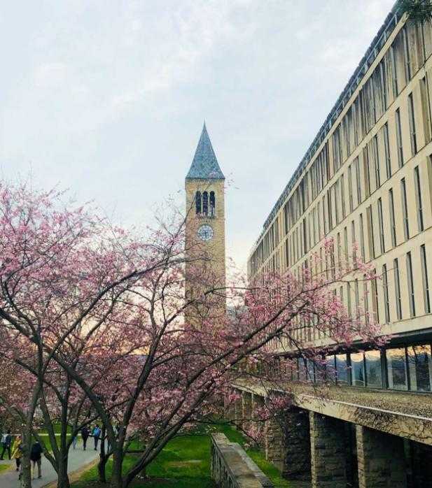 在康奈尔大学 (cornell university) 就读是种怎样的体验?